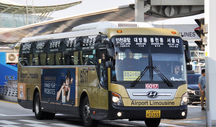 BUS #6017.jpeg